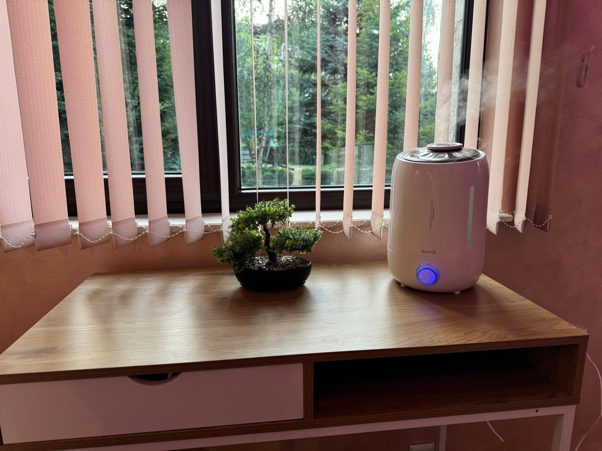 בנסקו 2-Bedroom, 2-Bathroom With Fireplace And Garden At Winslow Infinity מראה חיצוני תמונה